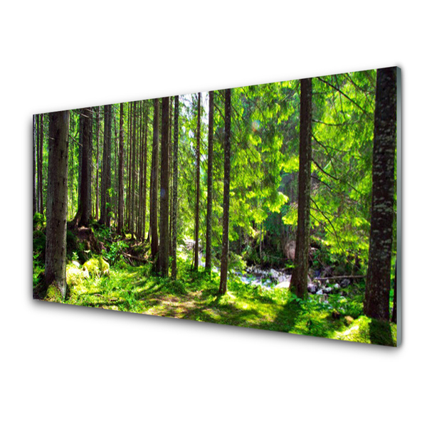 Quadro di vetro Foresta Alberi Pianta Natura