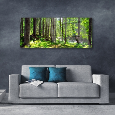 Quadro di vetro Foresta Alberi Pianta Natura