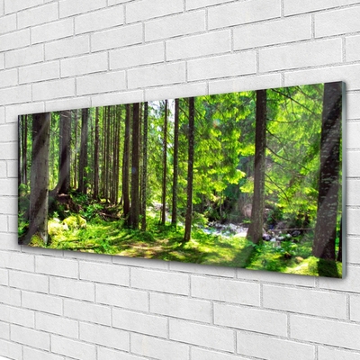 Quadro di vetro Foresta Alberi Pianta Natura