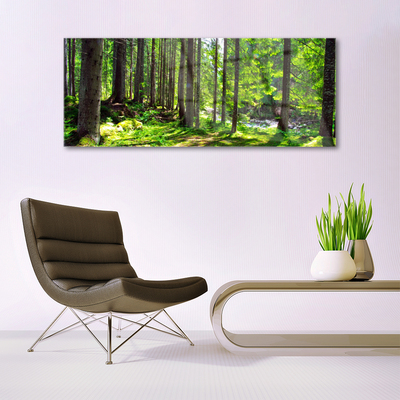 Quadro di vetro Foresta Alberi Pianta Natura