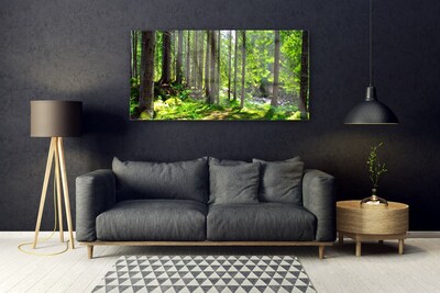 Quadro di vetro Foresta Alberi Pianta Natura