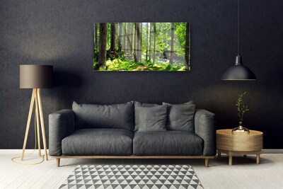 Quadro di vetro Foresta Alberi Pianta Natura