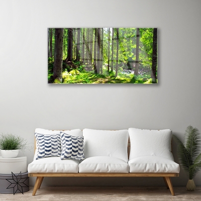 Quadro di vetro Foresta Alberi Pianta Natura