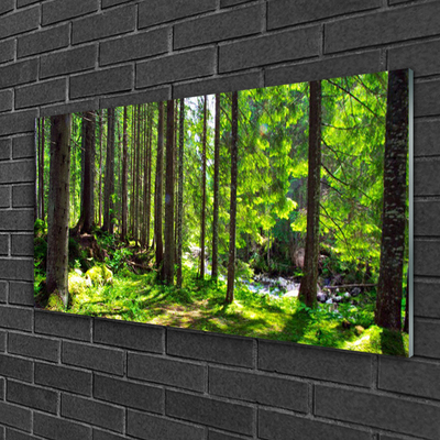 Quadro di vetro Foresta Alberi Pianta Natura