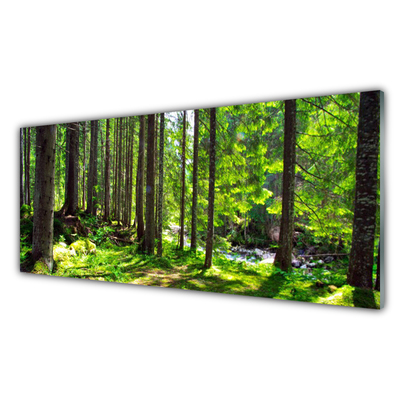 Quadro di vetro Foresta Alberi Pianta Natura