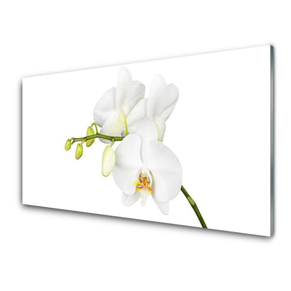 Quadro vetro Orchidea Fiori della natura