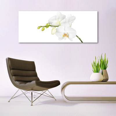 Quadro vetro Orchidea Fiori della natura