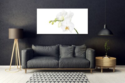 Quadro vetro Orchidea Fiori della natura