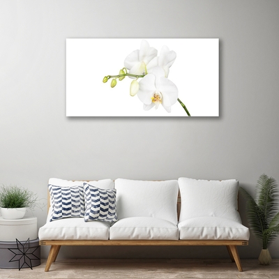 Quadro vetro Orchidea Fiori della natura