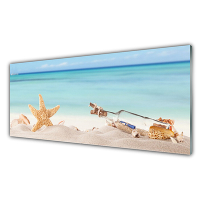 Quadro su vetro Conchiglie di stelle marine sulla spiaggia
