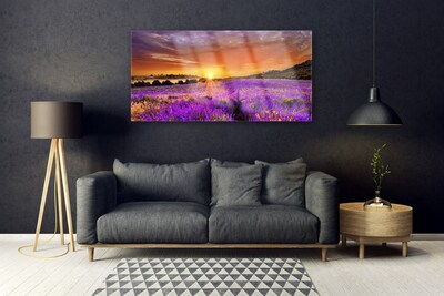 Quadro vetro Campo di lavanda al tramonto