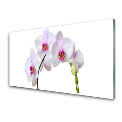 Quadro in vetro Orchidea Fiori di orchidea