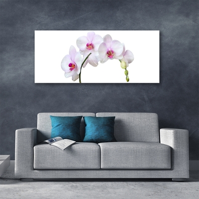 Quadro in vetro Orchidea Fiori di orchidea