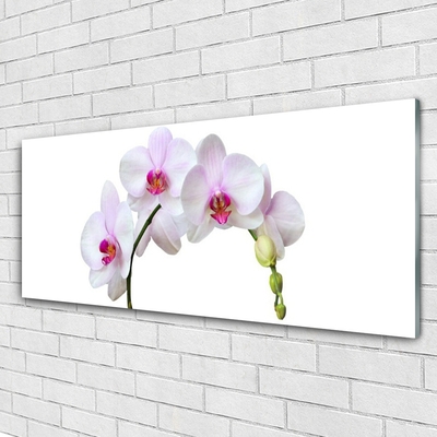 Quadro in vetro Orchidea Fiori di orchidea