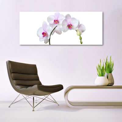 Quadro in vetro Orchidea Fiori di orchidea