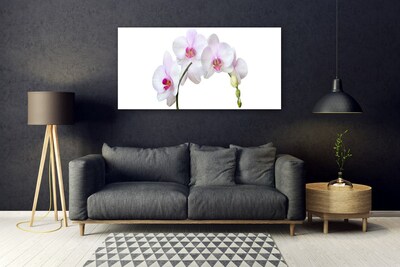 Quadro in vetro Orchidea Fiori di orchidea