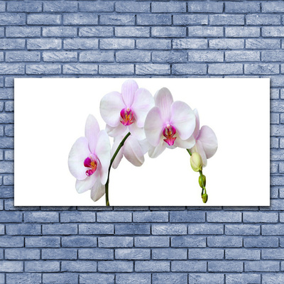 Quadro in vetro Orchidea Fiori di orchidea