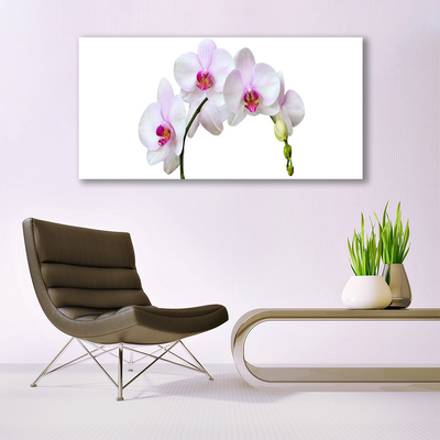 Quadro in vetro Orchidea Fiori di orchidea