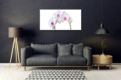 Quadro in vetro Orchidea Fiori di orchidea