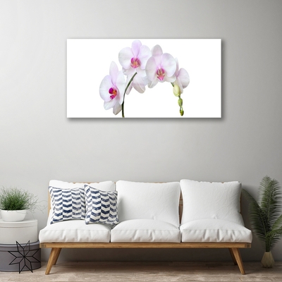 Quadro in vetro Orchidea Fiori di orchidea