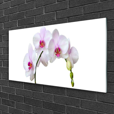 Quadro in vetro Orchidea Fiori di orchidea