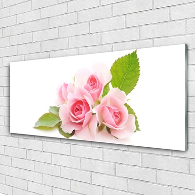 Quadro in vetro Rose Fiori Natura Pianta