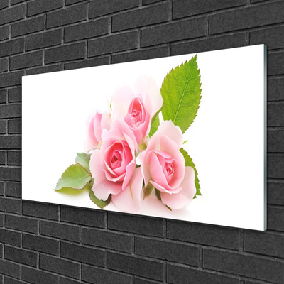 Quadro in vetro Rose Fiori Natura Pianta