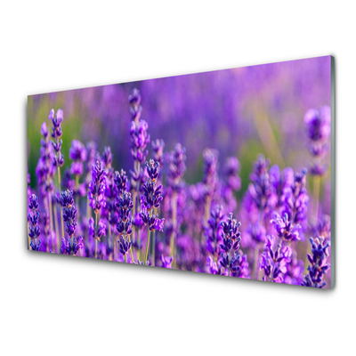 Quadro vetro Campo di lavanda viola