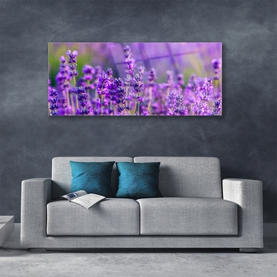 Quadro vetro Campo di lavanda viola