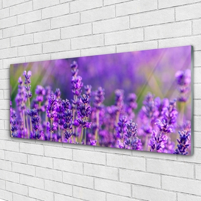 Quadro vetro Campo di lavanda viola