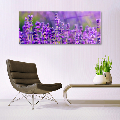 Quadro vetro Campo di lavanda viola