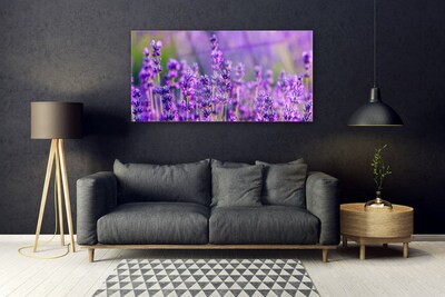 Quadro vetro Campo di lavanda viola