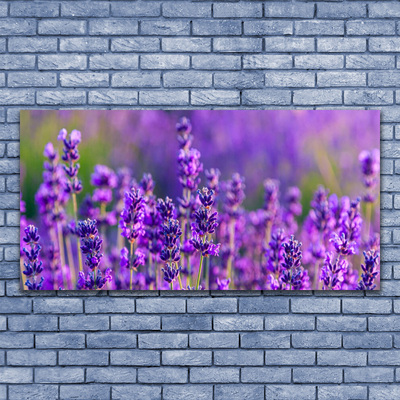 Quadro vetro Campo di lavanda viola