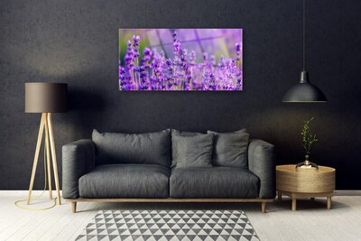 Quadro vetro Campo di lavanda viola