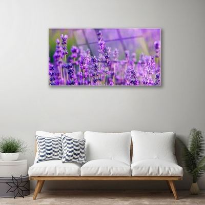 Quadro vetro Campo di lavanda viola