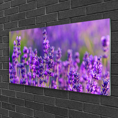 Quadro vetro Campo di lavanda viola