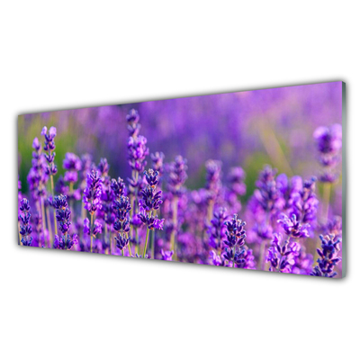 Quadro vetro Campo di lavanda viola