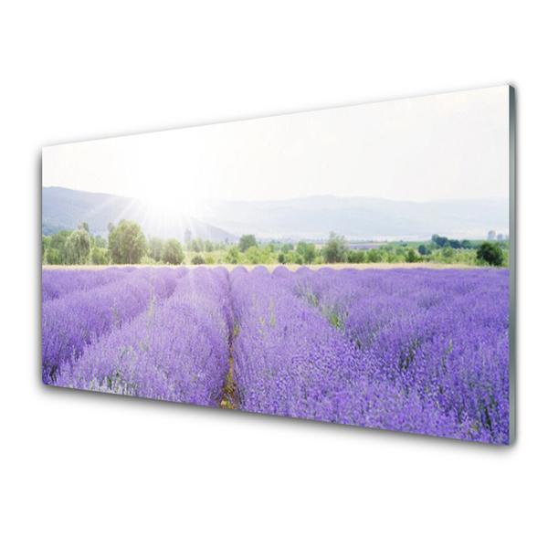 Quadro su vetro Campo di lavanda Prato naturale