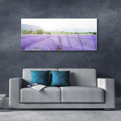 Quadro su vetro Campo di lavanda Prato naturale