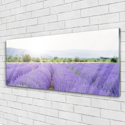 Quadro su vetro Campo di lavanda Prato naturale