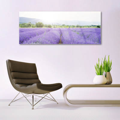 Quadro su vetro Campo di lavanda Prato naturale