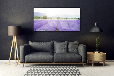 Quadro su vetro Campo di lavanda Prato naturale