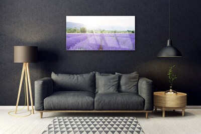 Quadro su vetro Campo di lavanda Prato naturale