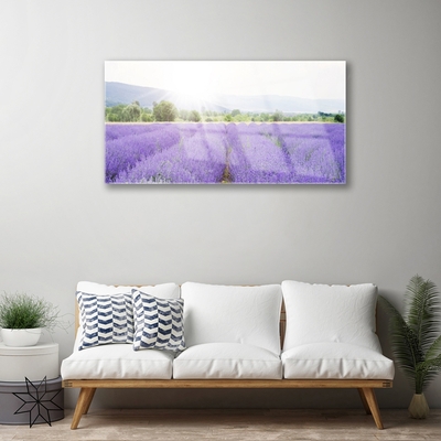 Quadro su vetro Campo di lavanda Prato naturale