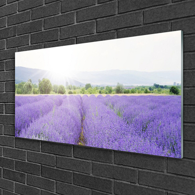 Quadro su vetro Campo di lavanda Prato naturale