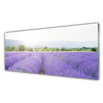 Quadro su vetro Campo di lavanda Prato naturale