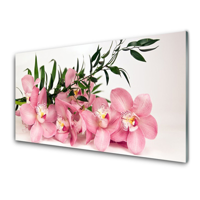 Quadro in vetro Fiori di Orchidea Spa