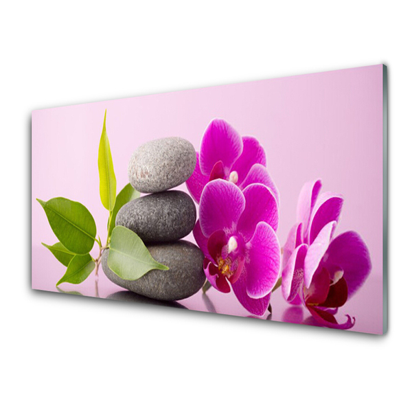 Quadro vetro Orchidea Fiori di orchidea