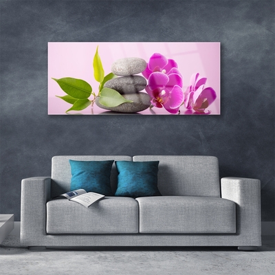 Quadro vetro Orchidea Fiori di orchidea