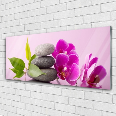 Quadro vetro Orchidea Fiori di orchidea